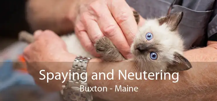 Spaying and Neutering Buxton - Maine