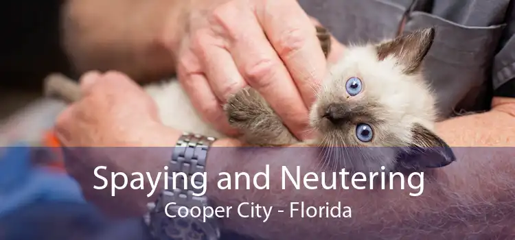 Spaying and Neutering Cooper City - Florida
