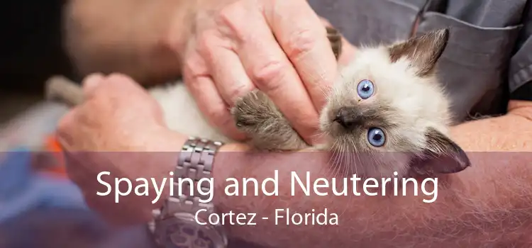 Spaying and Neutering Cortez - Florida