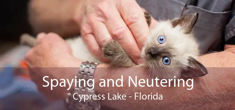 Spaying and Neutering Cypress Lake - Florida