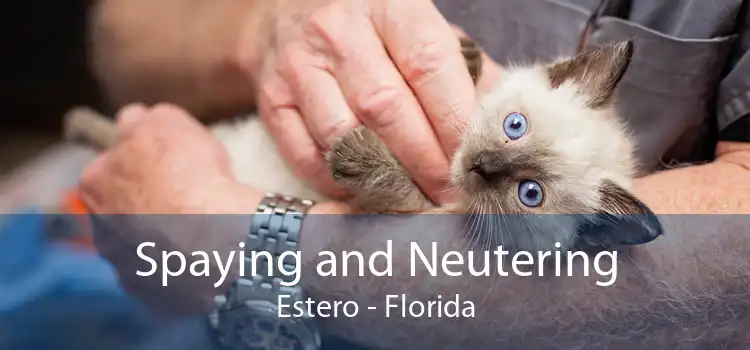 Spaying and Neutering Estero - Florida
