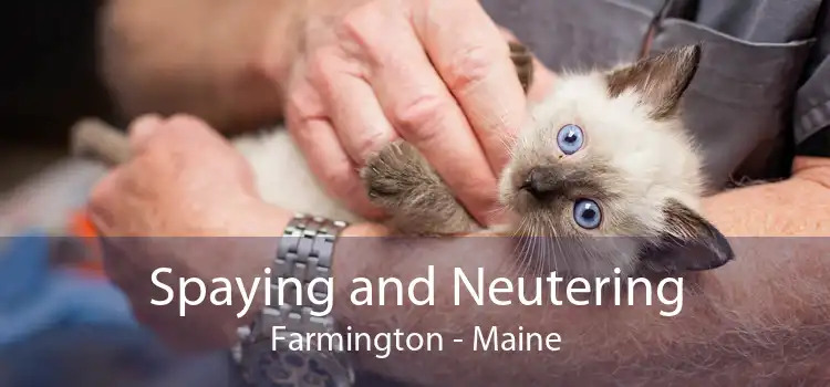 Spaying and Neutering Farmington - Maine