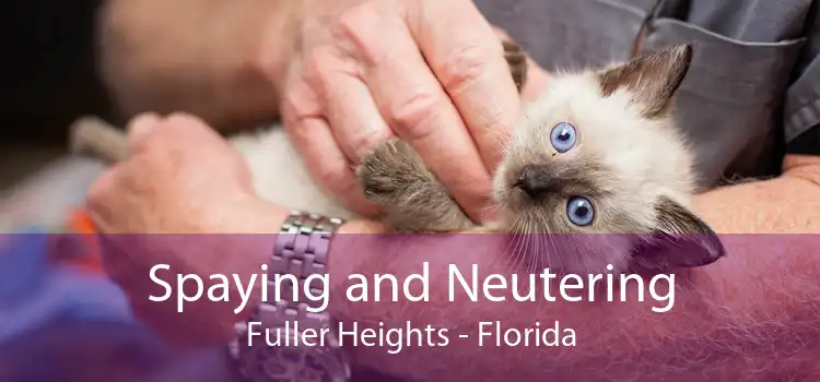 Spaying and Neutering Fuller Heights - Florida