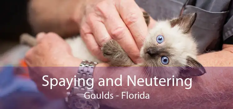 Spaying and Neutering Goulds - Florida