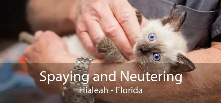 Spaying and Neutering Hialeah - Florida