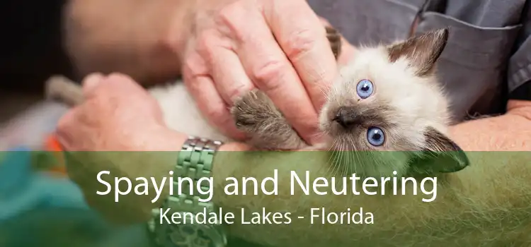 Spaying and Neutering Kendale Lakes - Florida