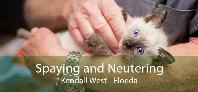 Spaying and Neutering Kendall West - Florida
