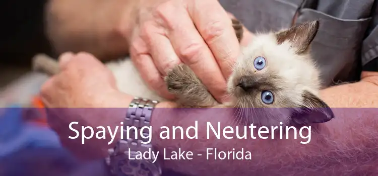 Spaying and Neutering Lady Lake - Florida