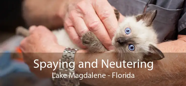 Spaying and Neutering Lake Magdalene - Florida