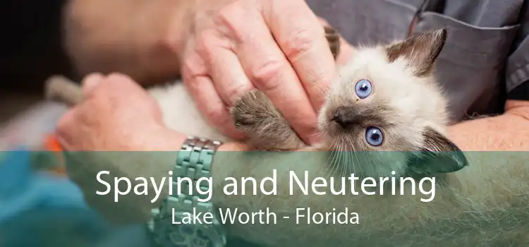 Spaying and Neutering Lake Worth - Florida