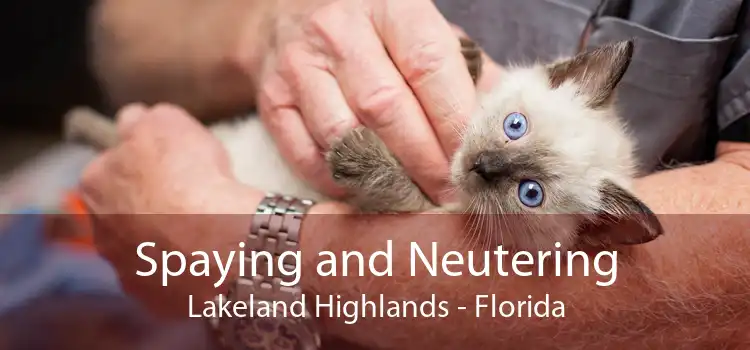 Spaying and Neutering Lakeland Highlands - Florida