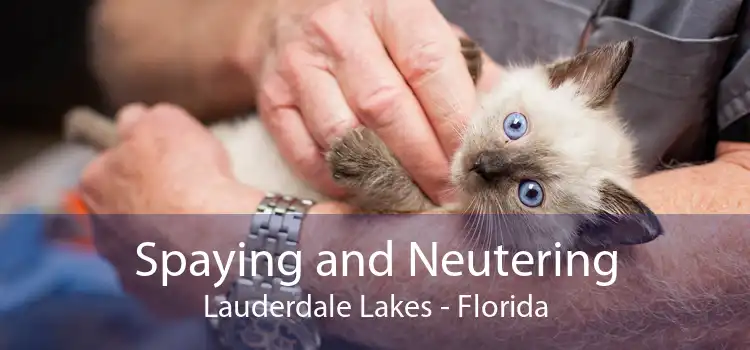 Spaying and Neutering Lauderdale Lakes - Florida