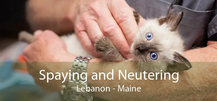 Spaying and Neutering Lebanon - Maine