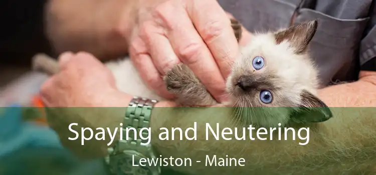Spaying and Neutering Lewiston - Maine