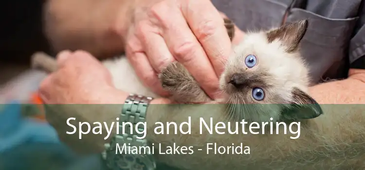 Spaying and Neutering Miami Lakes - Florida