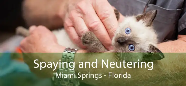 Spaying and Neutering Miami Springs - Florida