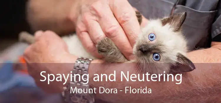 Spaying and Neutering Mount Dora - Florida