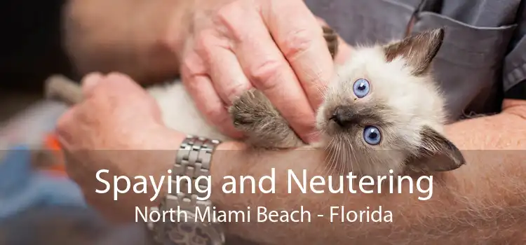Spaying and Neutering North Miami Beach - Florida