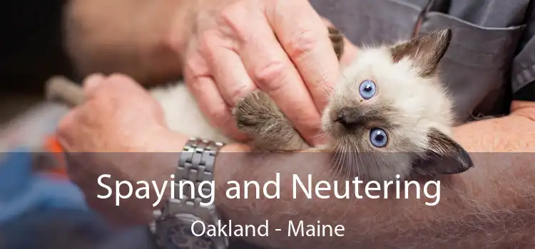 Spaying and Neutering Oakland - Maine