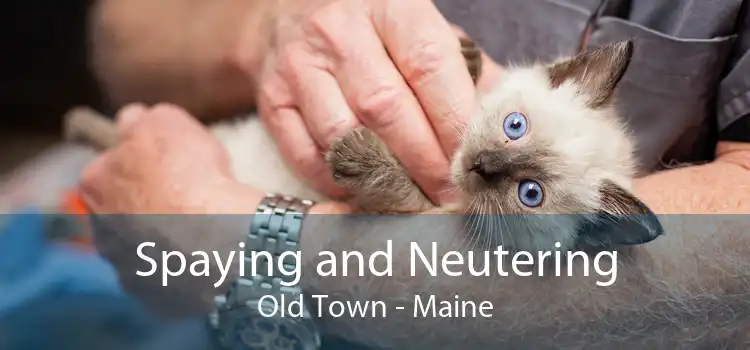 Spaying and Neutering Old Town - Maine