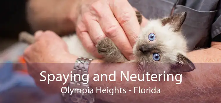 Spaying and Neutering Olympia Heights - Florida