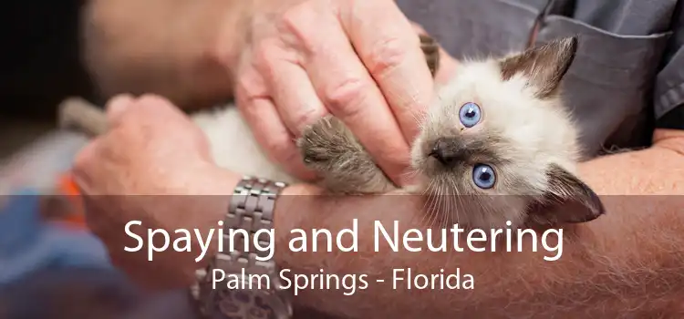 Spaying and Neutering Palm Springs - Florida