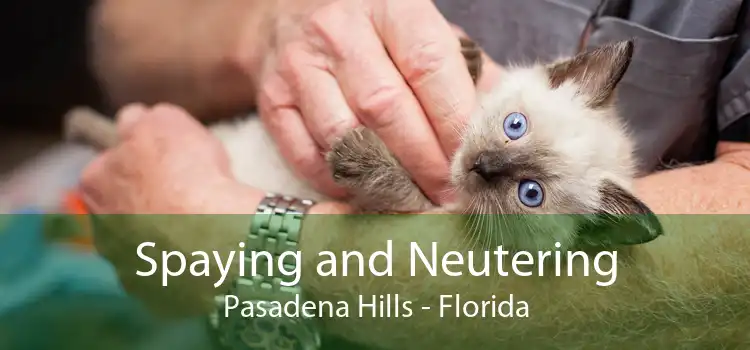 Spaying and Neutering Pasadena Hills - Florida