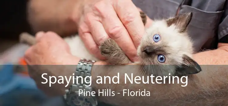 Spaying and Neutering Pine Hills - Florida