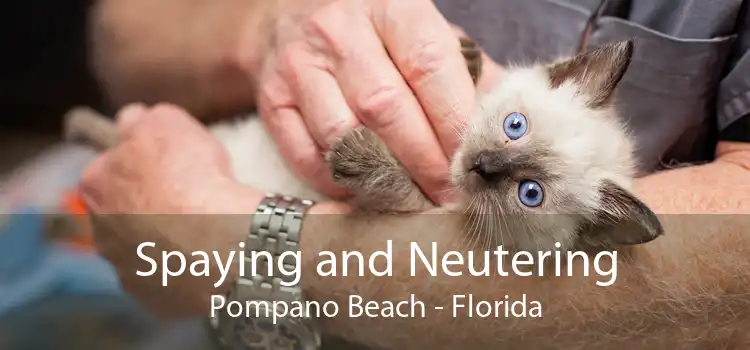 Spaying and Neutering Pompano Beach - Florida