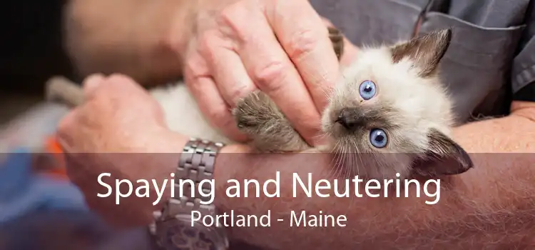 Spaying and Neutering Portland - Maine