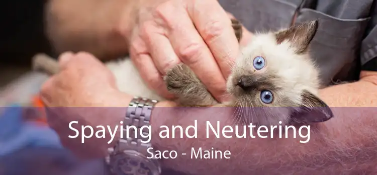 Spaying and Neutering Saco - Maine