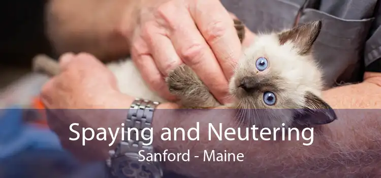 Spaying and Neutering Sanford - Maine