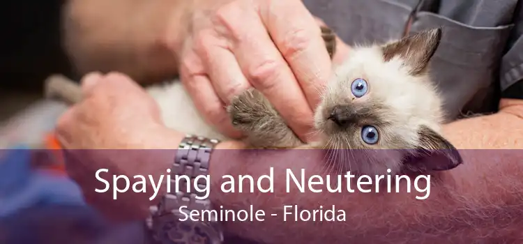 Spaying and Neutering Seminole - Florida