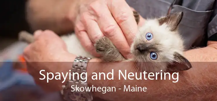 Spaying and Neutering Skowhegan - Maine
