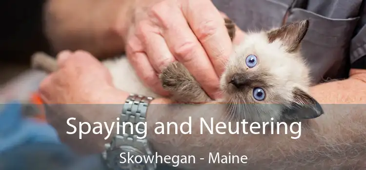 Spaying and Neutering Skowhegan - Maine