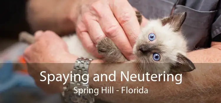 Spaying and Neutering Spring Hill - Florida
