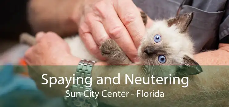 Spaying and Neutering Sun City Center - Florida