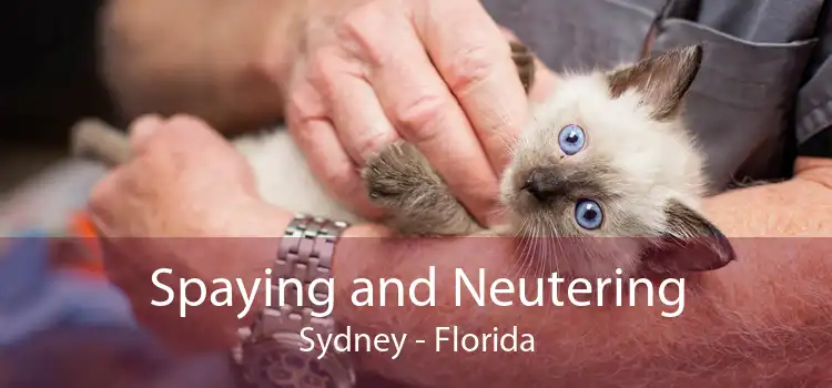 Spaying and Neutering Sydney - Florida
