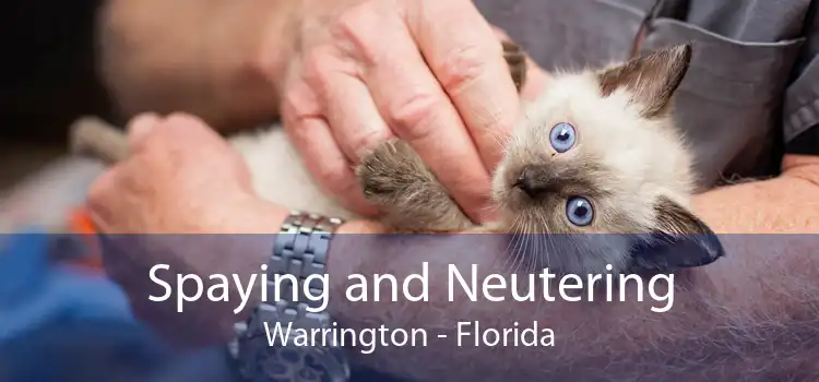 Spaying and Neutering Warrington - Florida