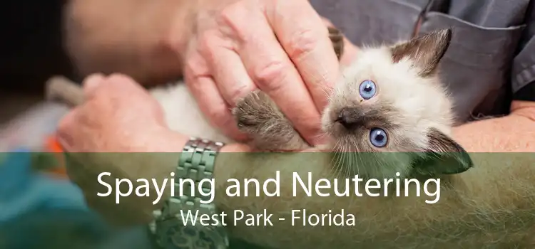 Spaying and Neutering West Park - Florida