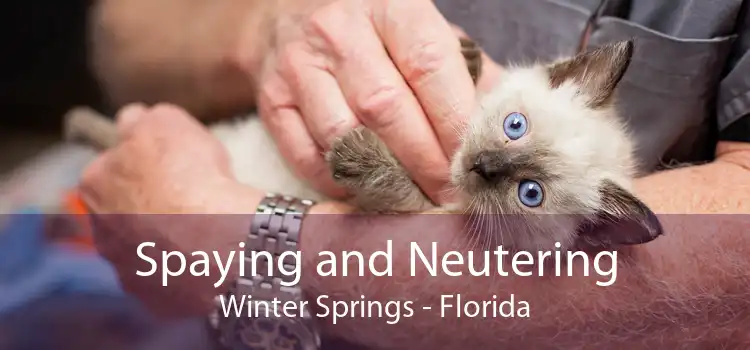 Spaying and Neutering Winter Springs - Florida