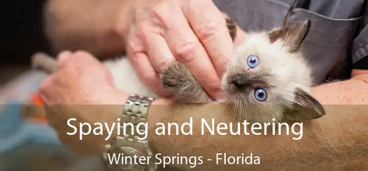 Spaying and Neutering Winter Springs - Florida