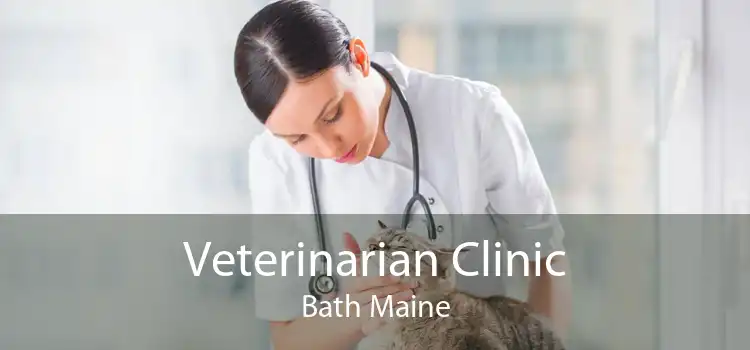 Veterinarian Clinic Bath Maine