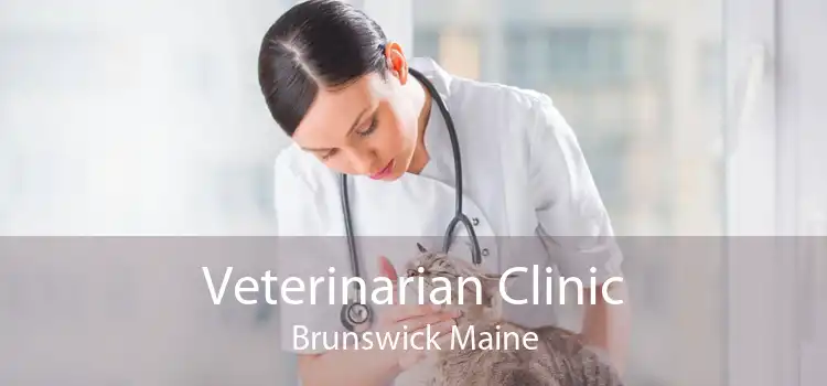 Veterinarian Clinic Brunswick Maine