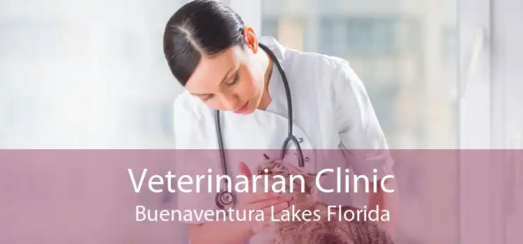 Veterinarian Clinic Buenaventura Lakes Florida