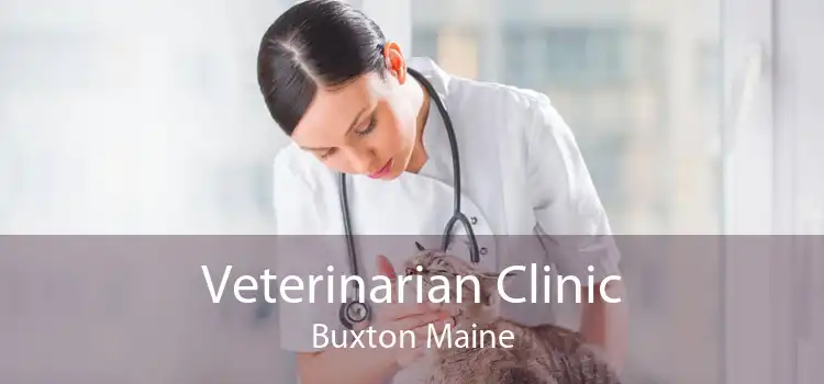 Veterinarian Clinic Buxton Maine