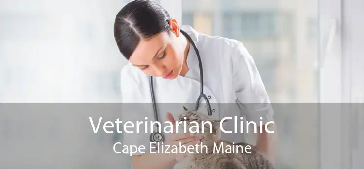 Veterinarian Clinic Cape Elizabeth Maine