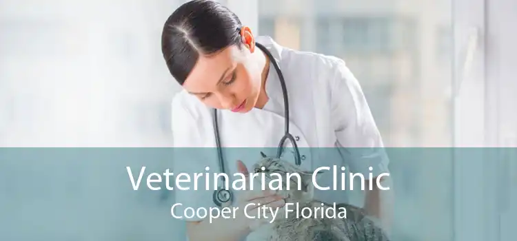 Veterinarian Clinic Cooper City Florida