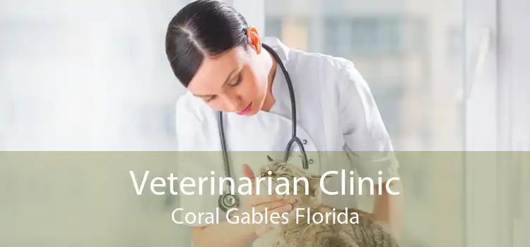 Veterinarian Clinic Coral Gables Florida