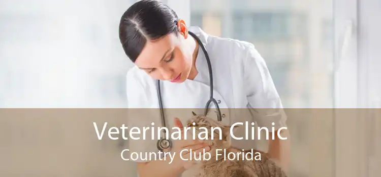 Veterinarian Clinic Country Club Florida